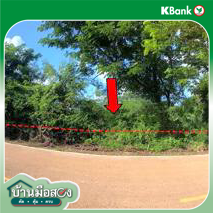 picture LAND 478 Sq.w. Sra Khrai Nongkai for 956,000 - 10/12