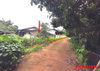 listing thumbnail image 25