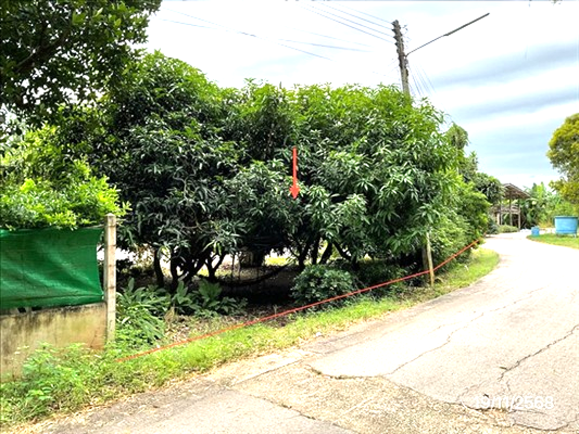 รูป บ้านเดี่ยว 235 ตร.วา เมืองราชบุรี ราชบุรี 2.1M - รูปที่ 10/14