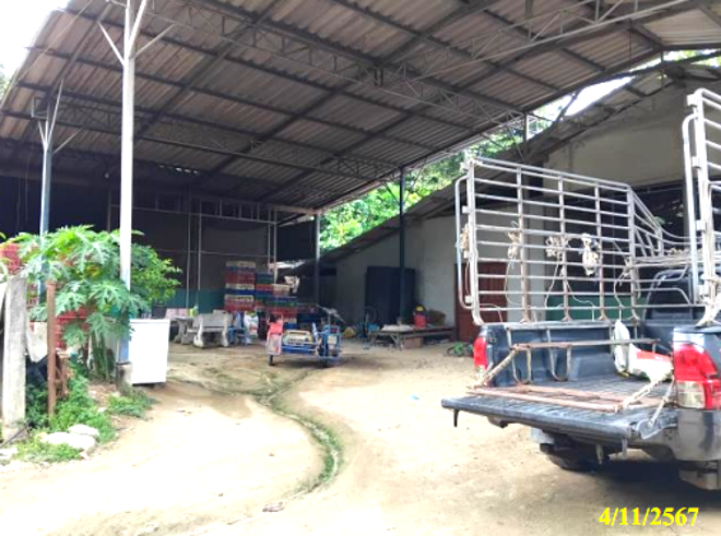 รูป โกดัง 145.9 ตร.วา ยี่งอ นราธิวาส 1.4M - รูปที่ 5/14