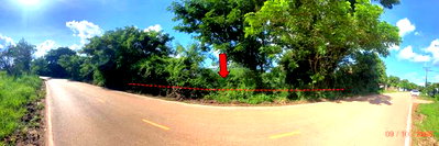 Land for sale : LAND 478 Sq.w. Sra Khrai Nongkai for 956,000