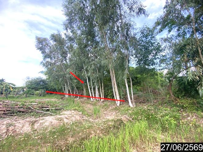 รูป ที่ดินว่างเปล่า 156.2 ตร.วา เพ็ญ อุดรธานี 313,000 - รูปที่ 4/16