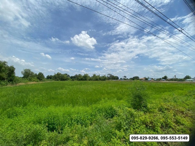 รูป ขายที่ดินติดถนน 4 เลนลำลูกกา 5-3-19 ไร่ คลอง13 ใกล้สนามกอลฟ์ลำลูกกา โซน รังสิต-ลำลูกกามีศักยภาพสูงต่อขยายรถไฟฟ้ามาสถานีคูคตลำลูกกา  ปทุมธานี - รูปที่ 4/8