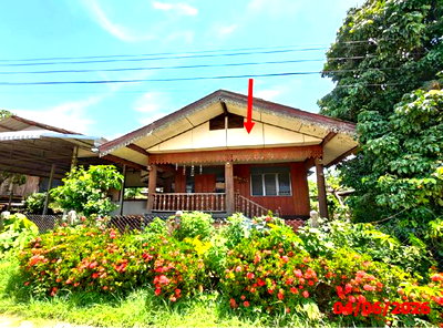 Houses for sale Li Lamphun : HOME 128.1 Sq.w. Li Lamphun for 956,000