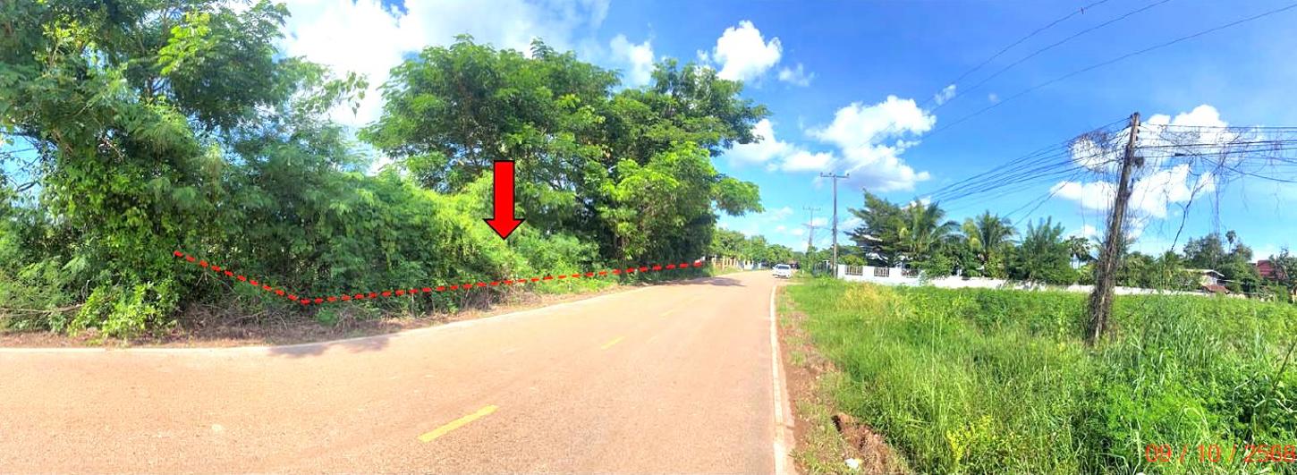 picture LAND 478 Sq.w. Sra Khrai Nongkai for 956,000 - 6/12
