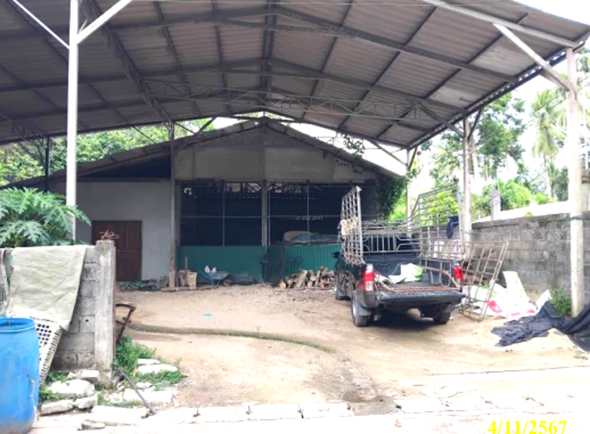 รูป โกดัง 145.9 ตร.วา ยี่งอ นราธิวาส 1.4M - รูปที่ 7/14
