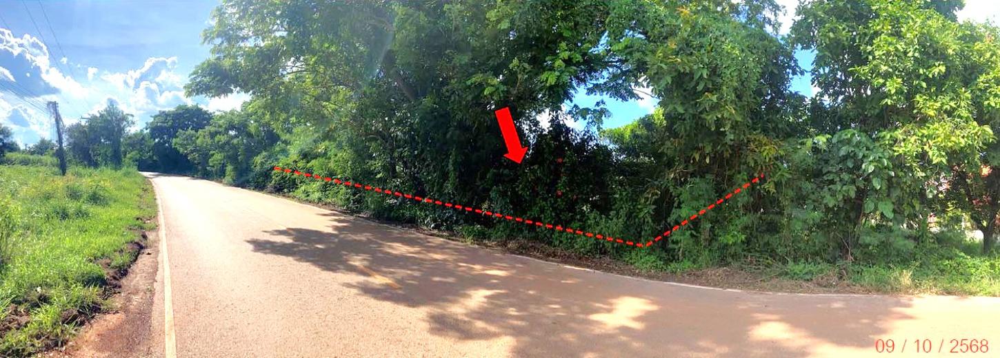 picture LAND 478 Sq.w. Sra Khrai Nongkai for 956,000 - 7/12