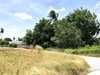 listing thumbnail image 35