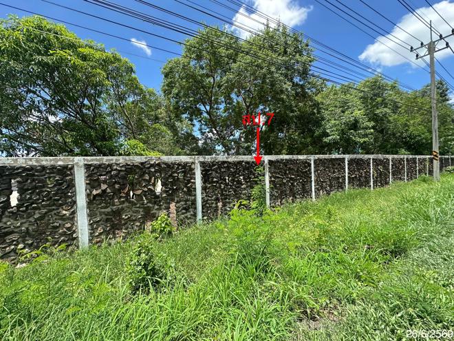 รูป โกดัง 18513.4 ตร.วา วิเชียรบุรี เพชรบูรณ์ 99.5M - รูปที่ 20/44
