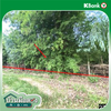 listing thumbnail image 13