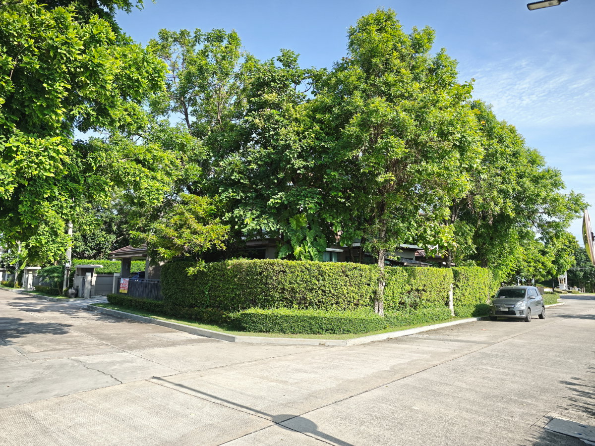 รูป ขายบ้านเดี่ยว หลังมุม 102.2 ตรว. 310 ตรม. 4 นอน 4 น้ำ หมู่บ้านเดอะแกรนด์ บางนา – วงแหวน สภาพดีมาก 92% ขายถูก - รูปที่ 11/61