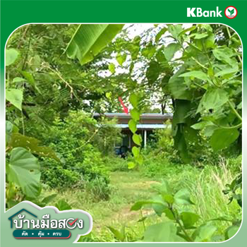 picture HOME 373 Sq.w. Ban Dan Buri Ram for 1.5M - 13/15