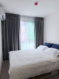 รูปภาพ ND1041 For rent Good Day Sukhumvit 93