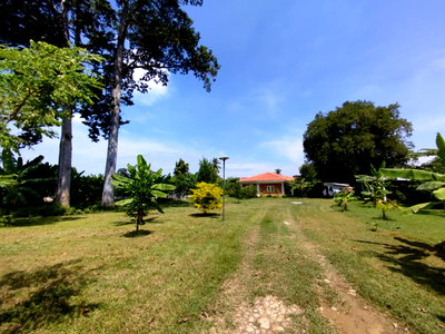 ขายบ้านเดี่ยว : ขายบ้านสวน​​ 2​ ไร่เศษ​ ไม่ไกลกรุงเทพ​ ติดถนน​ อยู่ในชุมชน​ ปลอดภัย​ พร้อม​เพื่อการอยู่อาศัย​หรือทำกิจการ