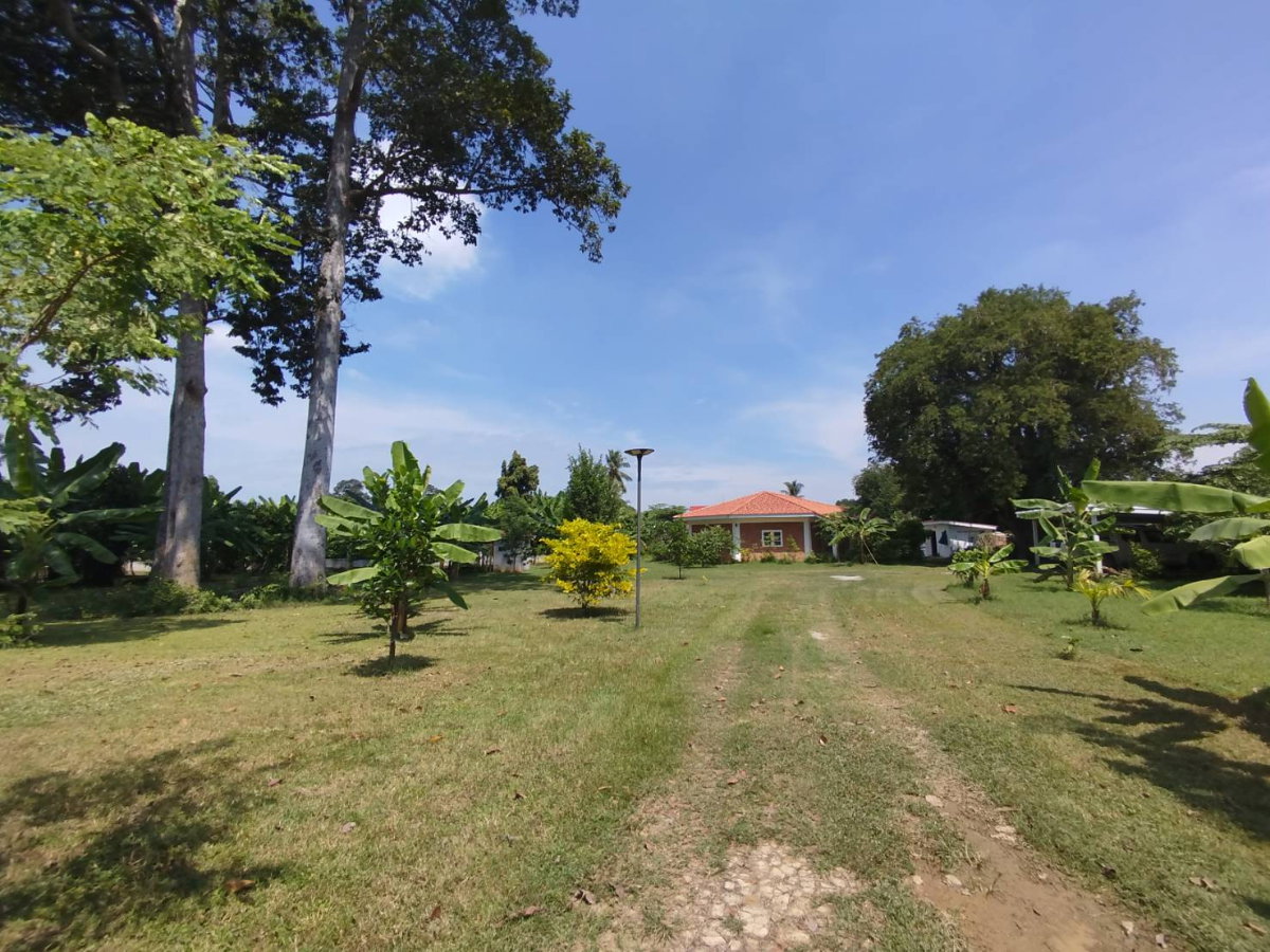 รูป ขายบ้านสวน 2 ไร่เศษ ไม่ไกลกรุงเทพ ติดถนน อยู่ในชุมชน ปลอดภัย พร้อมเพื่อการอยู่อาศัยหรือทำกิจการ - รูปที่ 1/11