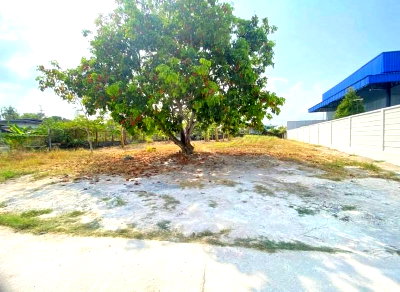 Land for sale Si Racha Chonburi : Beautiful plot of land for sale in Ban Huai Kru, Bang Phra, Si Racha. Ideal for building a house.