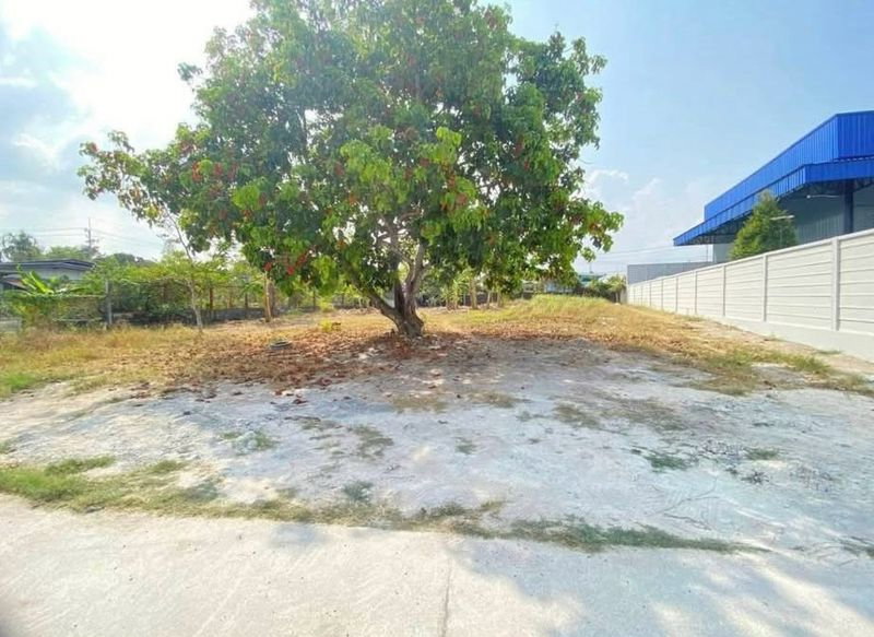 รูป ขายที่ดินแปลงสวย บ้านห้วยกรุ บางพระ ศรีราชา เหมาะสร้างบ้าน - รูปที่ 1/6