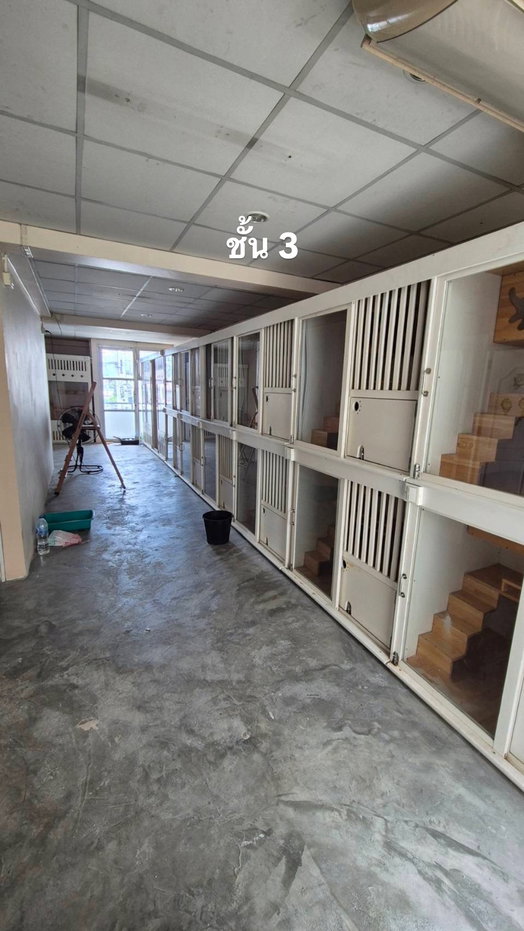 picture Corner commercial unit in Muang Thong Thani, near Beehive, opposite Sukhothai Thammathirat Open University. - 13/25