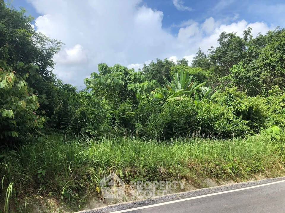 picture Land For Sale In Koh Keaw, Mueang Phuket (ID 3133588) - 3/4