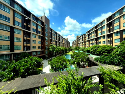คอนโดให้เช่า : 🛋️ dcondo Campus Resort Rangsit (ดีคอนโด แคมปัส รีสอร์ท รังสิต) เฟส1 8,000 / เดือน ชั้น 3 ตึก D วิวสระ ทักไลน์ @802dkhwu ตอบเร็ว นัดดูห้องได้ทันที