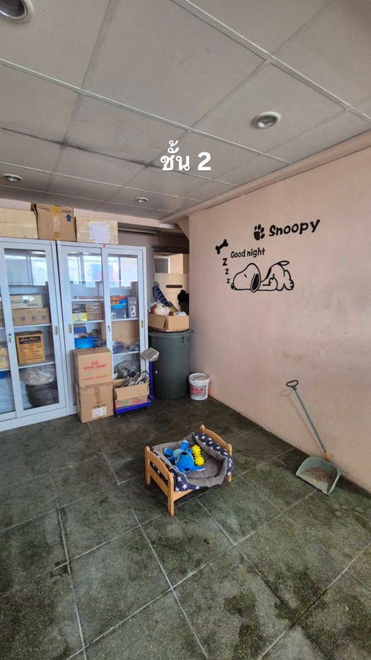 picture Corner commercial unit in Muang Thong Thani, near Beehive, opposite Sukhothai Thammathirat Open University. - 12/25