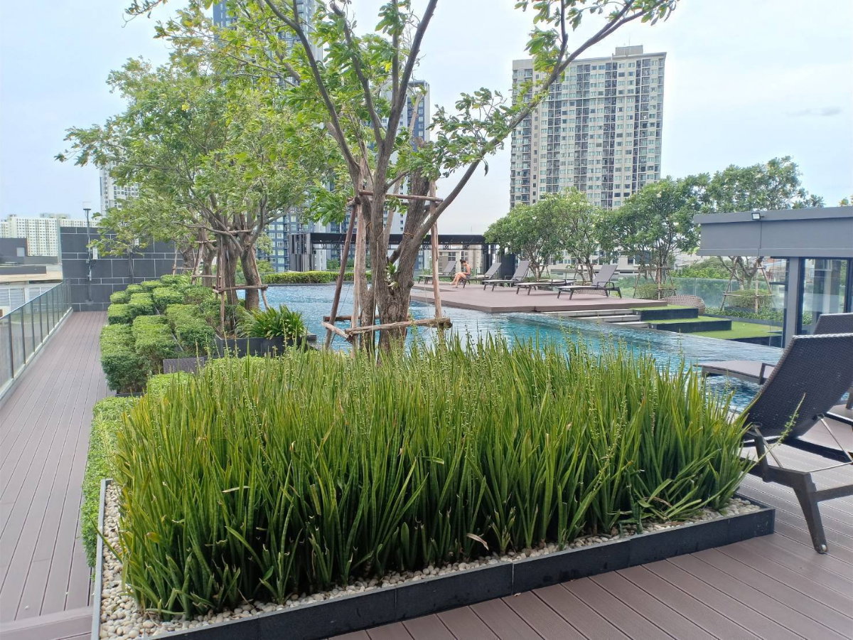 รูป 🟢ER26338 🟢ให้เช่า / For Rent The Base Park West Sukhumvit 77 💰 ราคา 13,000 บาท/เดือน - รูปที่ 41/48