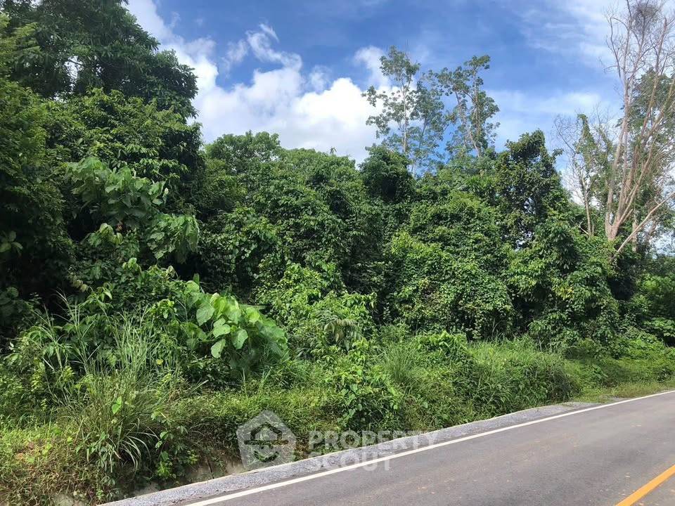 picture Land For Sale In Koh Keaw, Mueang Phuket (ID 3133588) - 2/4