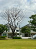 listing thumbnail image 26