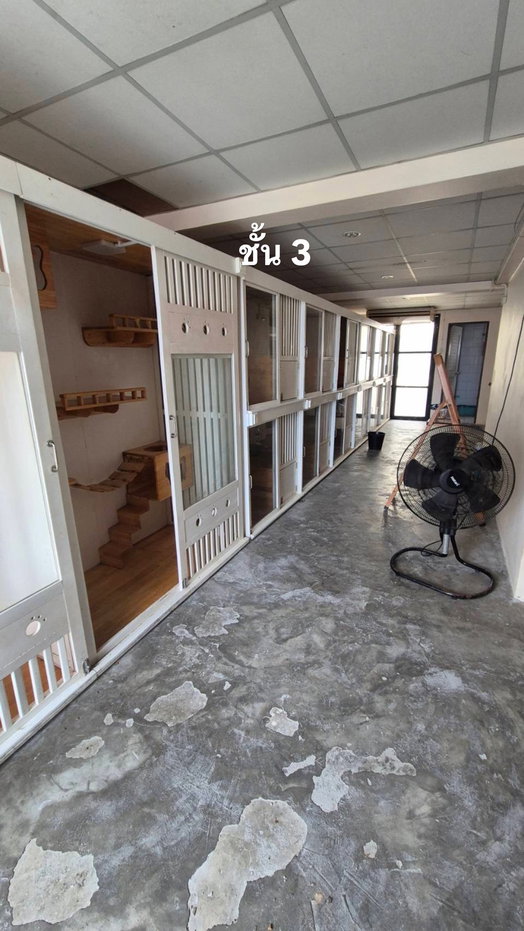 picture Corner commercial unit in Muang Thong Thani, near Beehive, opposite Sukhothai Thammathirat Open University. - 15/25
