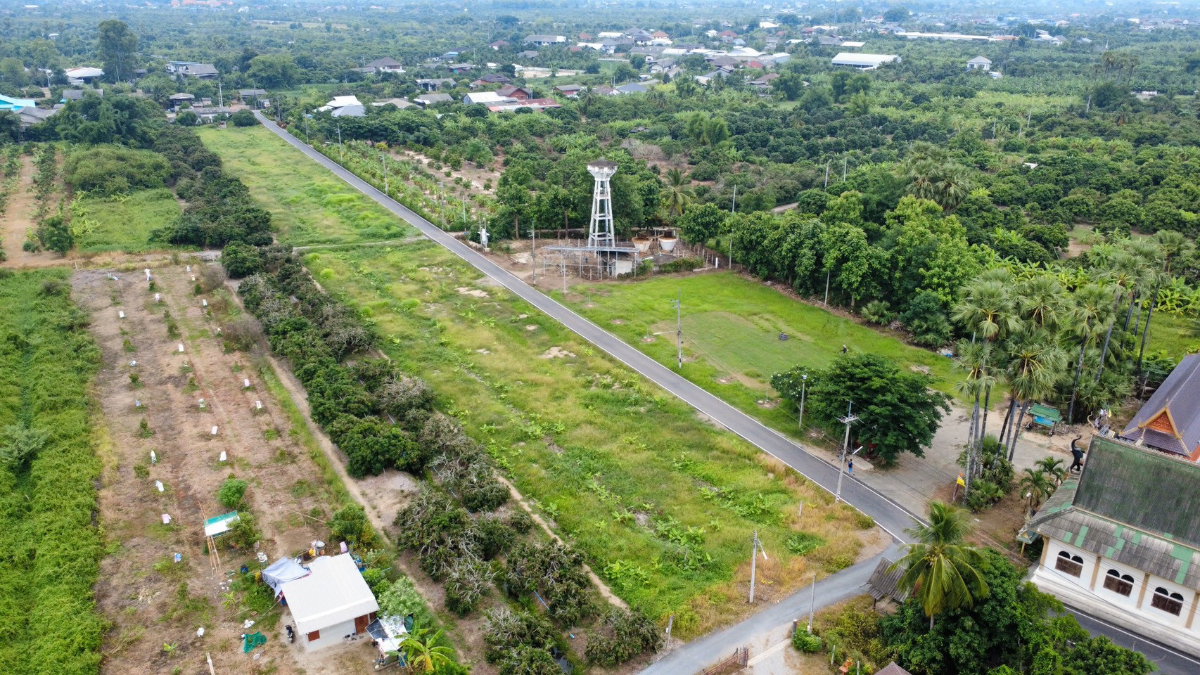 รูป ขายที่ดิน สวนลำไยพัฒนาแล้ว ติดถนนดำ อำเภอเมืองลำพูน แบ่งขายได้ - รูปที่ 3/5