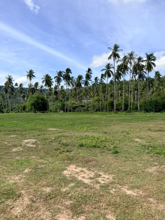 picture Land for sale on Koh Samui by owner - 8/13