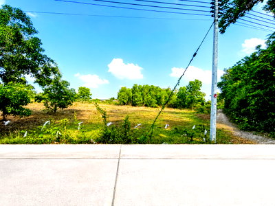 ที่ดิน ปราจีนบุรี : ขายที่ดิน 4 ไร่เศษ ใกล้นิคมอุตสาหกรรม 304 อ.ศรีมหาโพธิ ปราจีนบุรี ไฟฟ้า-น้ำประปาเข้าถึง