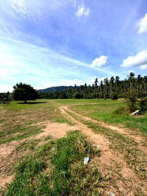 Land for sale Ko Samui Surat Thani : Land for sale on Koh Samui by owner