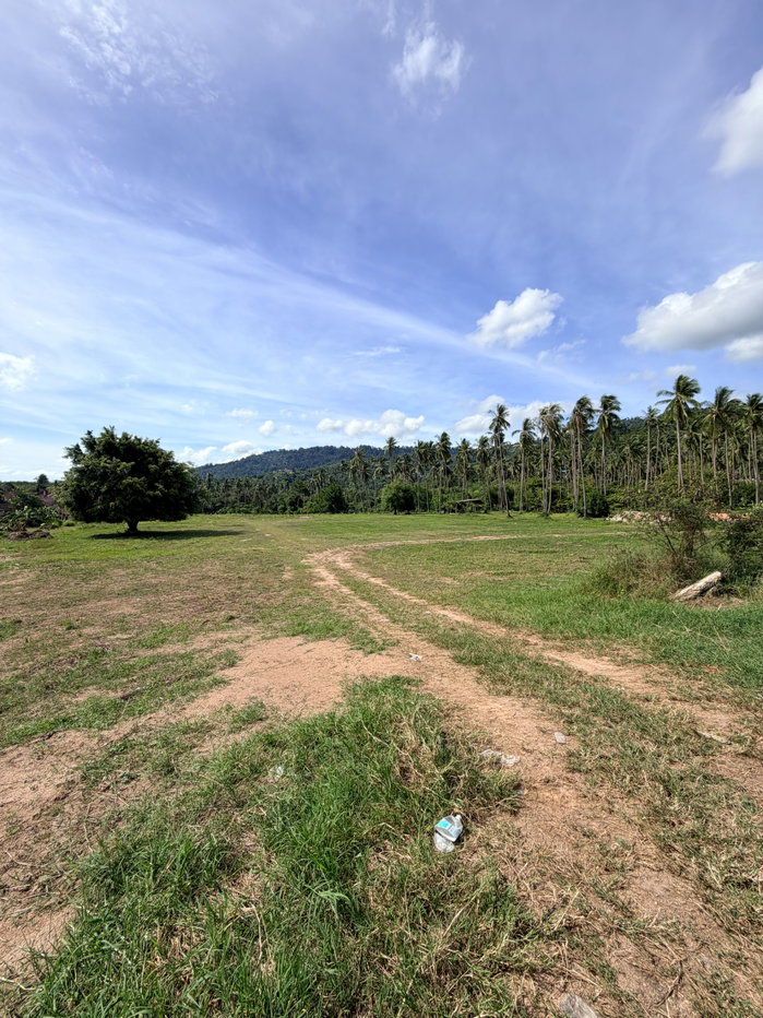 picture Land for sale on Koh Samui by owner - 1/13