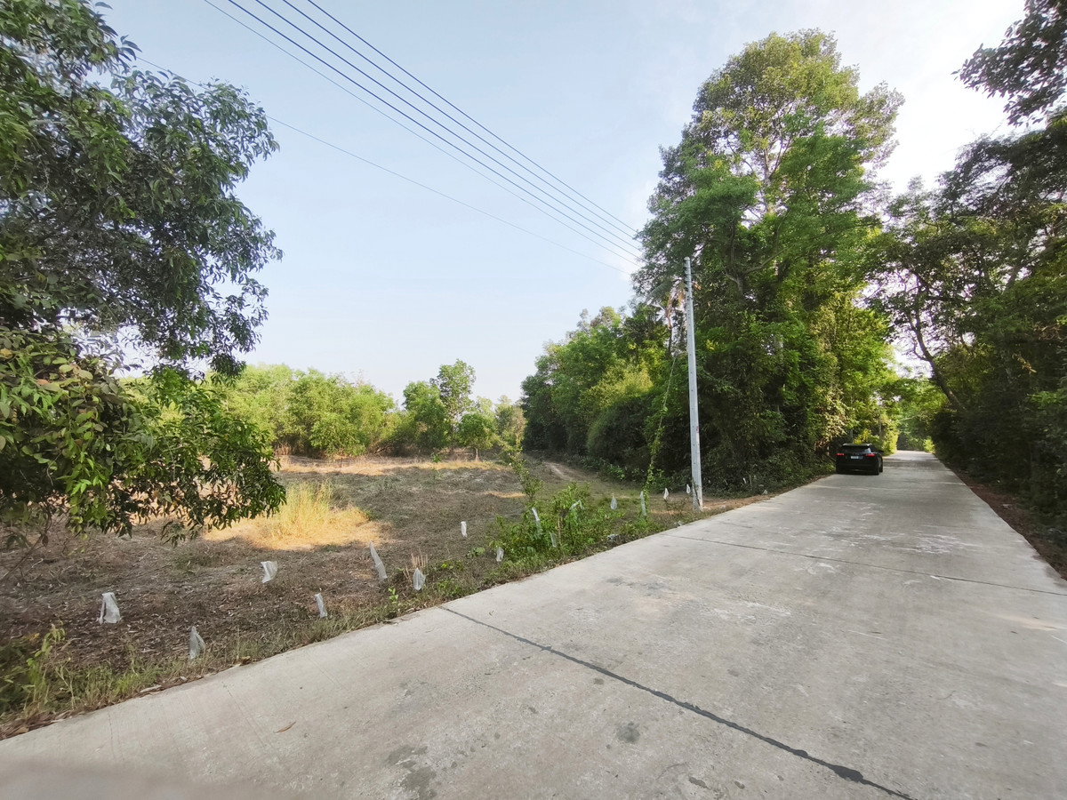 รูป ขายที่ดิน 4 ไร่เศษ ใกล้นิคมอุตสาหกรรม 304 อ.ศรีมหาโพธิ ปราจีนบุรี ไฟฟ้า-น้ำประปาเข้าถึง - รูปที่ 2/10