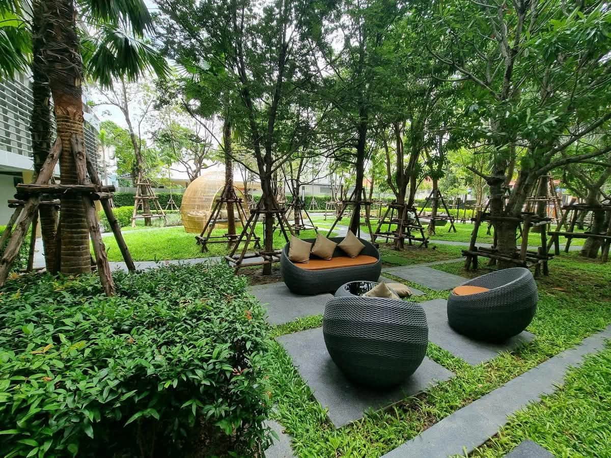 picture Condo for rent The Clev Riverline Chaophraya - Wongsawang - 9/16
