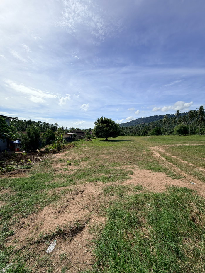 picture Land for sale on Koh Samui by owner - 2/13