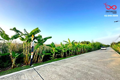 ที่ดิน นวนคร : ขายที่ดิน 100 ตร.ว. คลองหลวง ซอยคลองสาม 11/7 ปทุมธานี ใกล้วัดพระธรรมกาย ราคาถูก