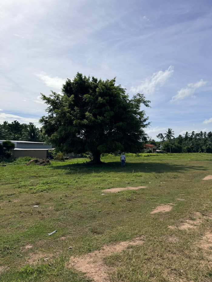 picture Land for sale on Koh Samui by owner - 13/13