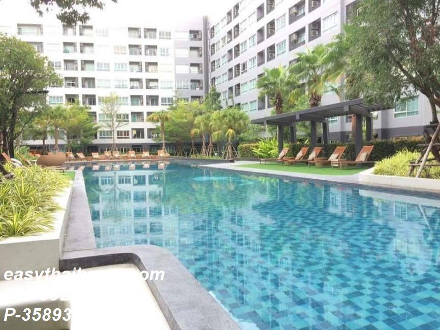 รูป P-35893 ปล่อยขายราคาสุดคุ้ม เอลลิโอ เดลเรย์ (สุขุมวิท 64) สตูดิโอ วิวสระและสวน ใกล้ BTS อุดมสุข Line ID: @easythaihome 085-592-2897 - รูปที่ 13/13