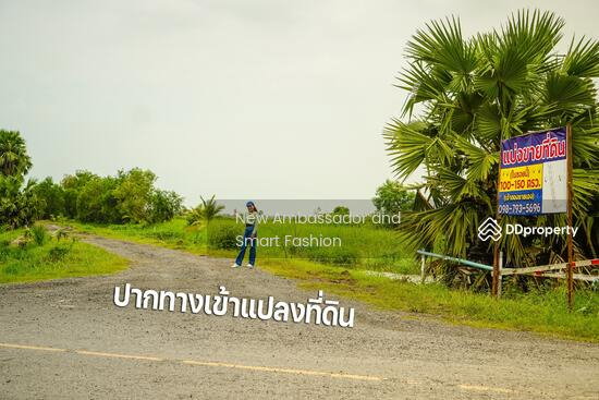 ขายที่ดินเปล่าพระอาจารย์ องครักษ์ นครนายก 8แปลง 100-150ตรว