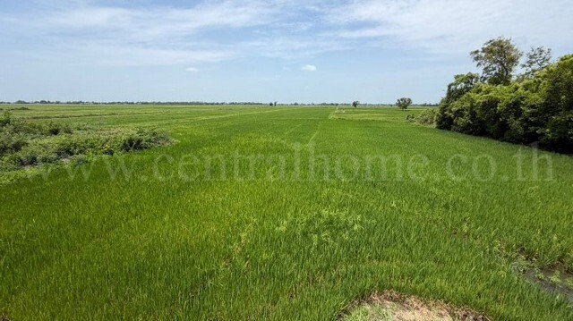 รูป ที่ดิน 4-2-63 ไร่ ต.บางซ้าย พระนครศรีอยุธยา - รูปที่ 4/14