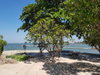 listing thumbnail image 14