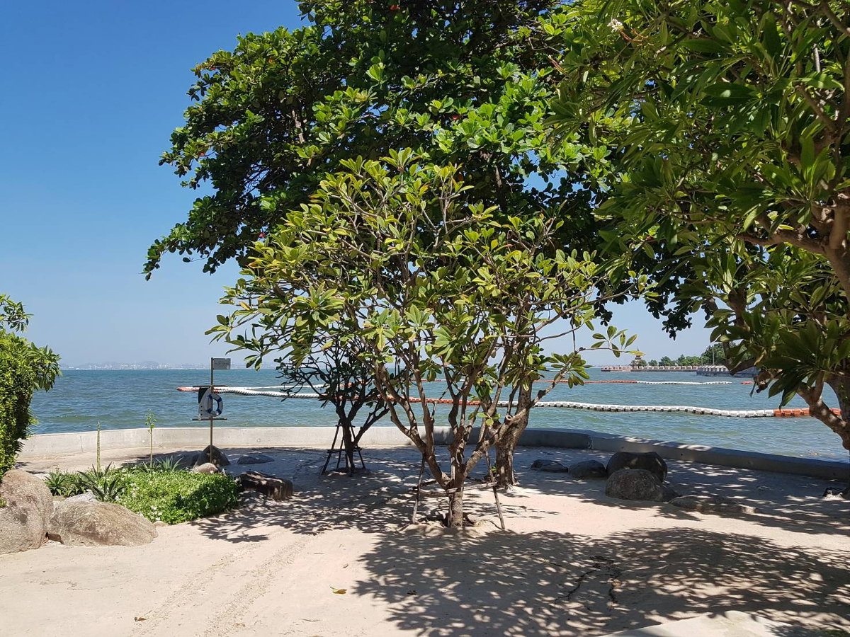 picture ⛵ Baan plai haad ⛵ Foreinger quota / Sea view / 15F / 1bedroom for quick sale彡 - 15/15