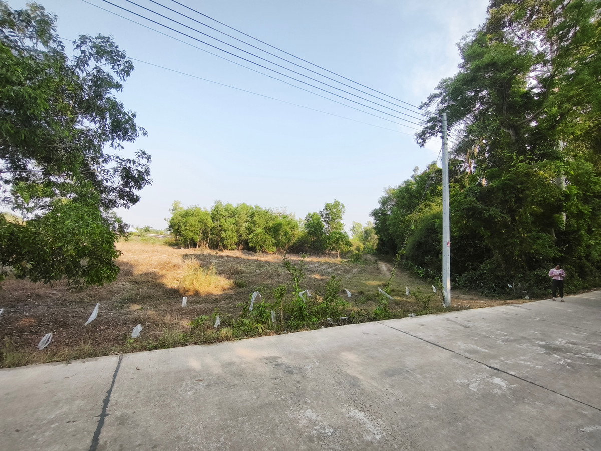 รูป ขายที่ดิน 4 ไร่เศษ ใกล้นิคมอุตสาหกรรม 304 อ.ศรีมหาโพธิ ปราจีนบุรี ไฟฟ้า-น้ำประปาเข้าถึง - รูปที่ 4/10