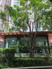 listing thumbnail image 12