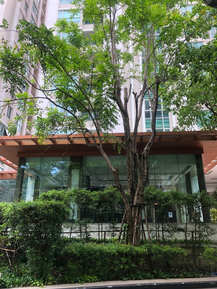รูป 🚨 PRIME CBD DEAL: THE ADDRESS CHIDLOM – ONLY 10.9MB - รูปที่ 13/13