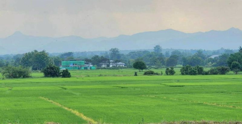 รูป บ้านพูลวิลล่าให้เช่า วิวภูเขา หางดง–สันป่าตอง เชียงใหม่ (EN below) - รูปที่ 1/12