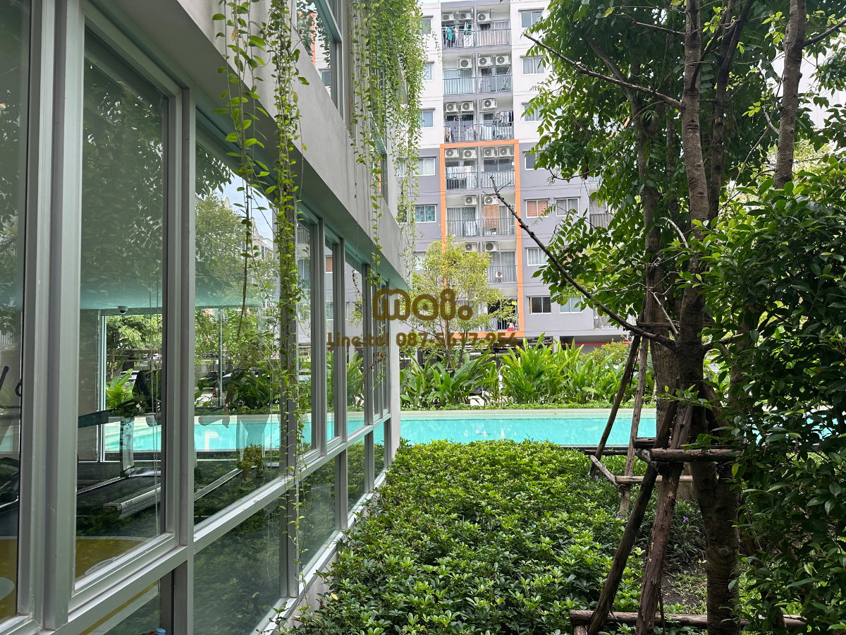 picture Condo for Rent, Sena Kit Phetkasem 120 Sai 4 - 9/11