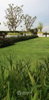 listing thumbnail image 4